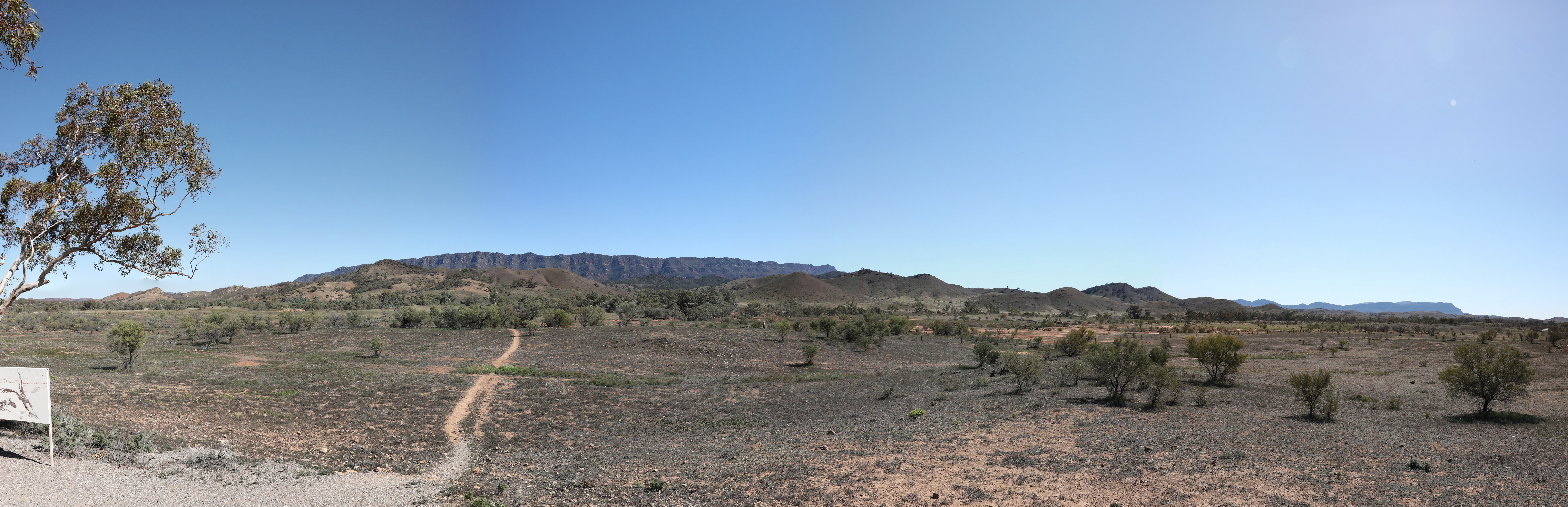 2019 09 02 10 49 28 Canon EOS 5D Mark IV 0018